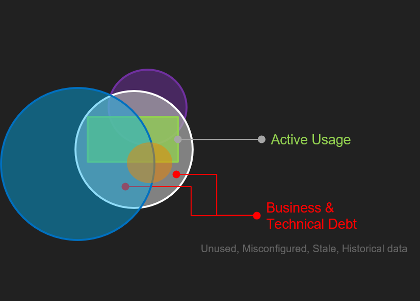 Operational reality: active usage versus business and technical debt