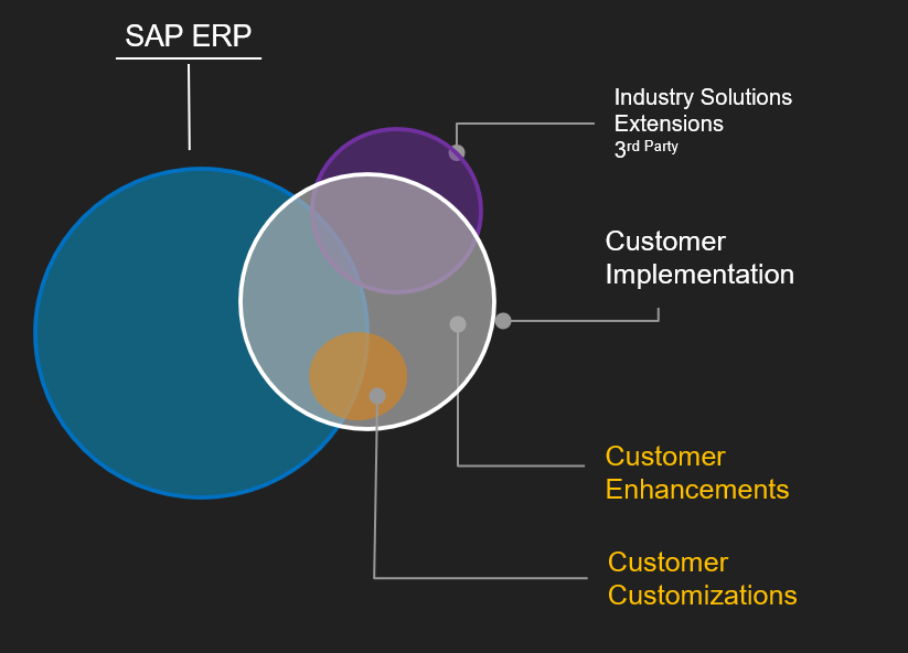 SAP ERP composition: standard, industry solutions, customer implementation, enhancements, customizations